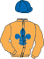 berkeley_racingnew