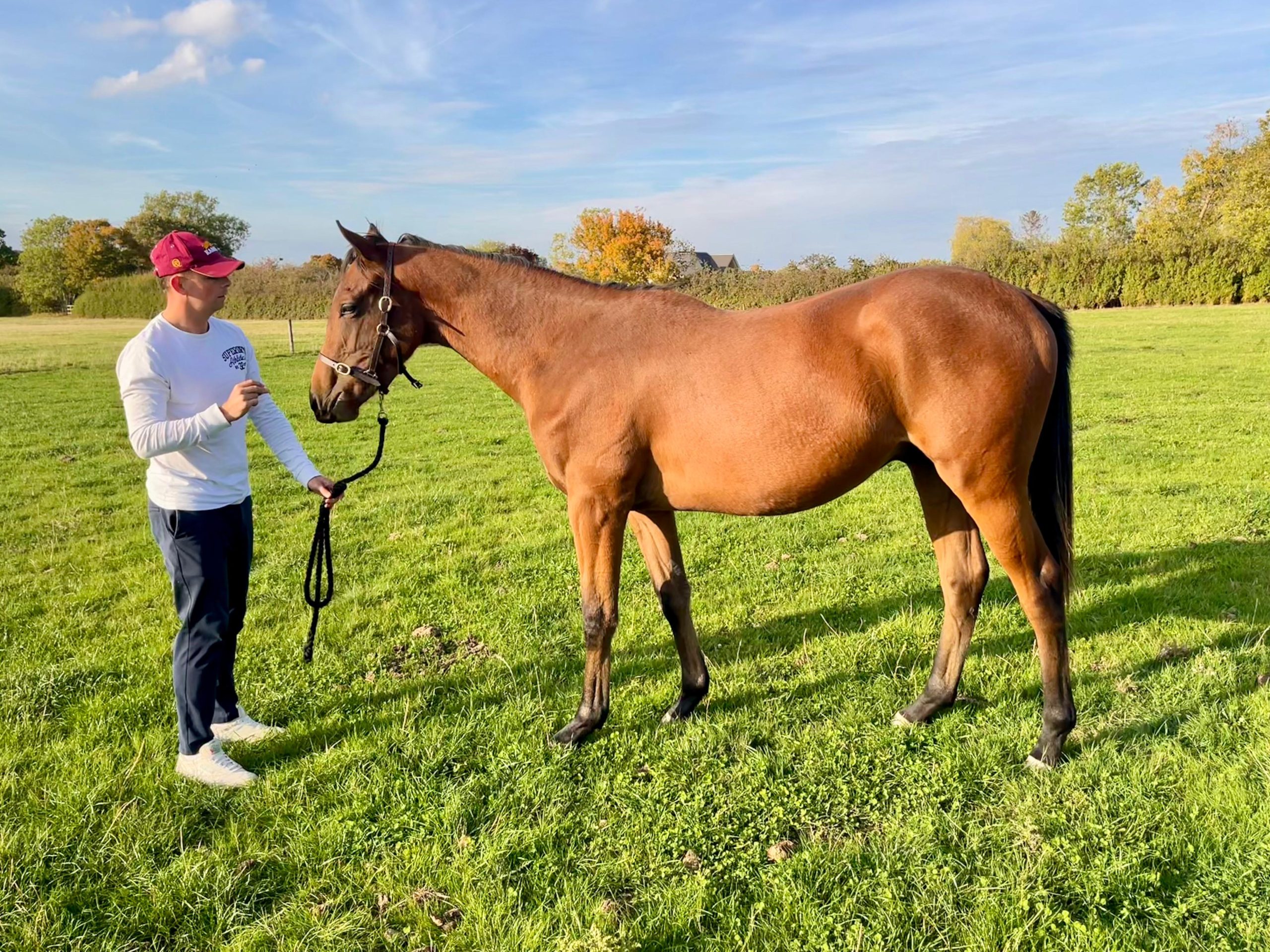 fae1e8f1-f435-41b8-91f1-fe42f85ce7f1