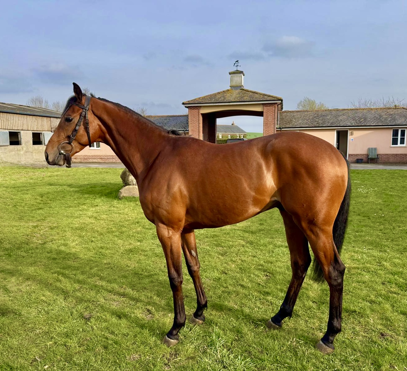 349d1ed1-ac2a-4ee3-beda-5663527e8b38