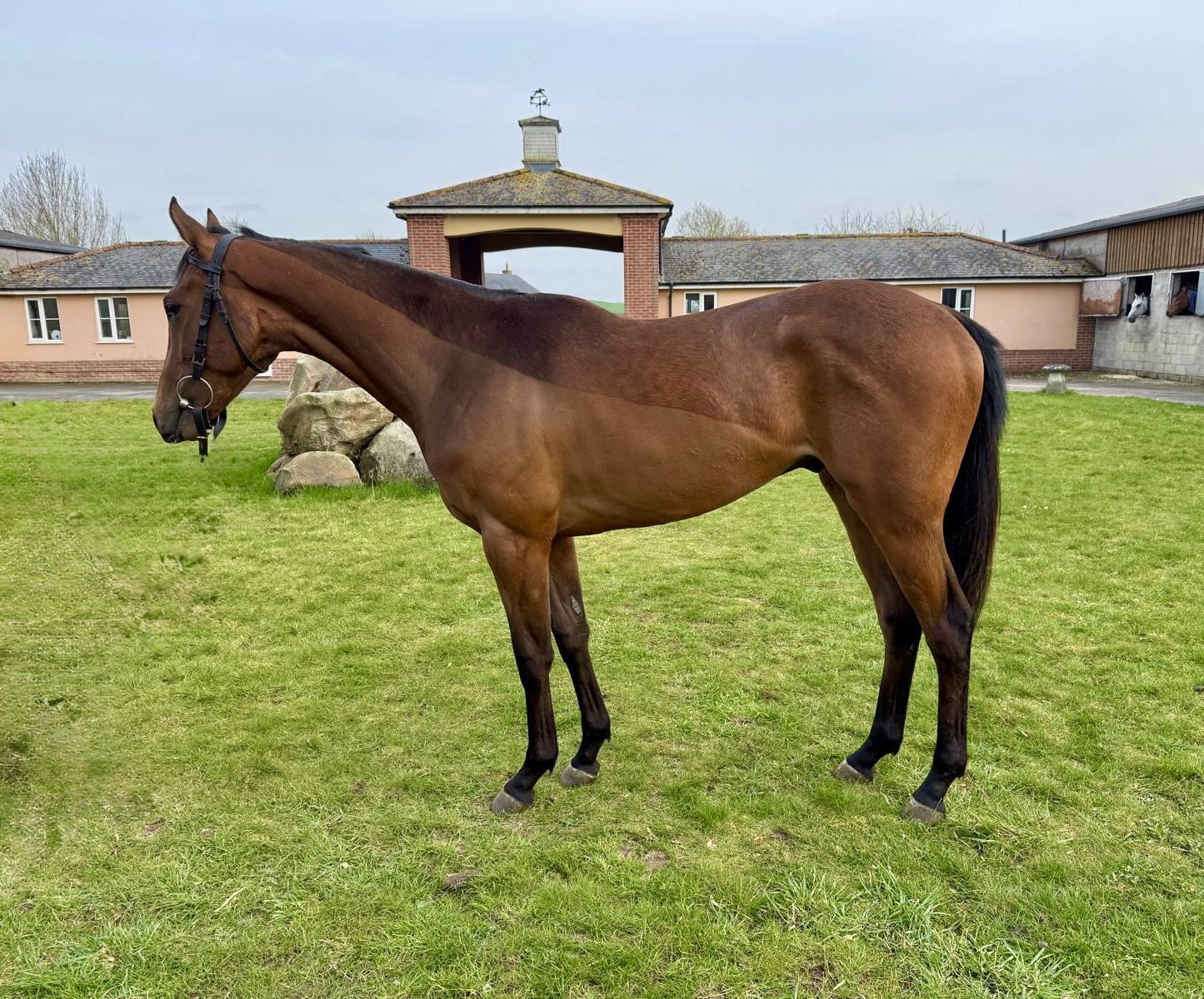 5c241838-438a-41a6-87f5-7bbbc43a7974